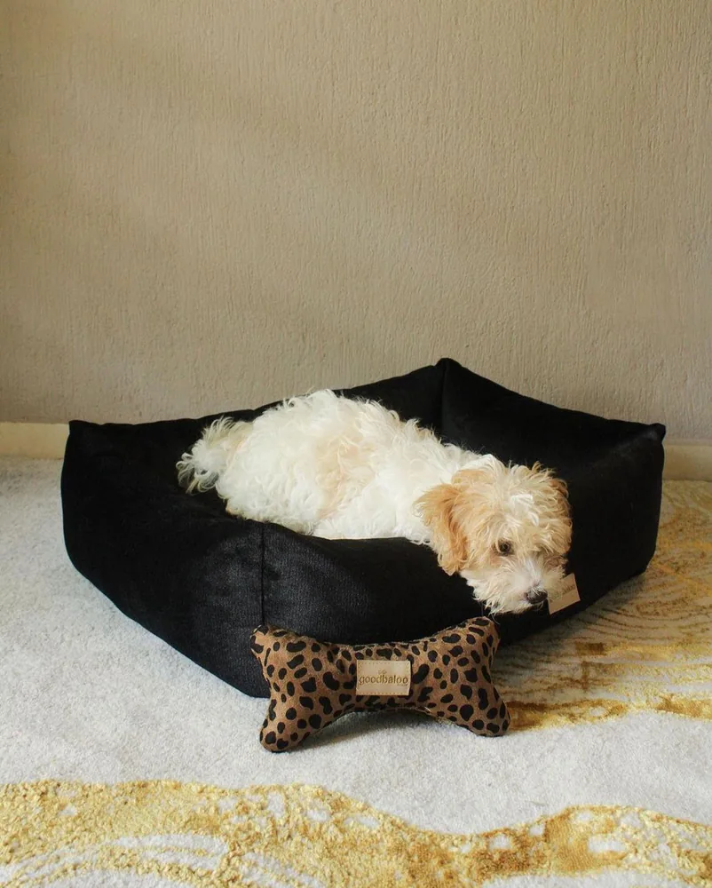 Perrito descansando en una cama negra Goodbaloo